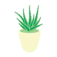 Aloe vera bush in a pot, pot succulent plant, flower isolated on white background. vector