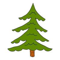 Cartoon doodle linear spruce tree isolated on white background. Forest hand drawn icon. vector