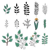 Floral elements set. Tree branches. Set of hand drawn doodle flowers. vector