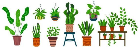 Cartoon set of plants in pots isolated on white background. House flowers in flat style. vector