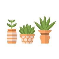Plants in clay pots in flat style isolated on white background. Set of flowers.