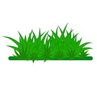 Card with green grass isolated on white background with empty space. vector