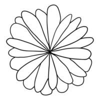 Flor suculenta linda del doodle aislada en el fondo blanco. icono de planta de dibujos animados. arbusto aislado. vector