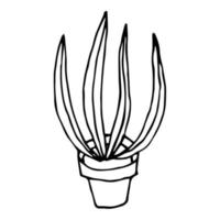 Cartoon plant in pot isolated on white background. House flower in doodle style. vector