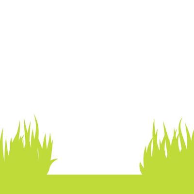 Leaflet with grass isolated on white background.