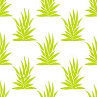 Succulent bush seamless pattern on white background. vector