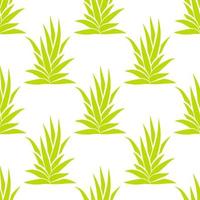 Succulent bush seamless pattern on white background. vector