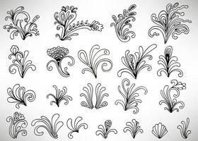 Set of black doodle floral elements with flowers, curls, branches and leaves isolated on white background. Damask elements, calligraphic shapes. vector