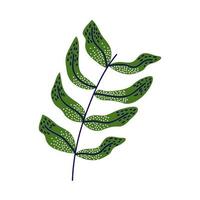 branch with leafs vector