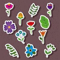 twelve floral garden icons vector