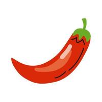 red chili pepper vector