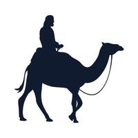 king wizard on camel vector