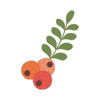seeds and leafs vector