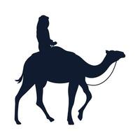 wizard king on camel vector