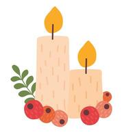 candles and seeds christmas vector