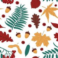 Seamless autumn pattern with leaves, rowan berries, and acorns. Vector isolated illustration on white background