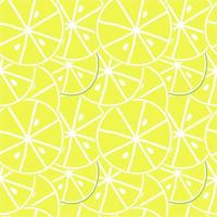 Summer fruit seamless pattern,citrin background vector