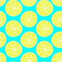 Summer fruit seamless pattern,citrin background vector