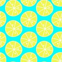 Summer fruit seamless pattern,citrin background vector