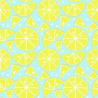Summer fruit seamless pattern,citrin background vector