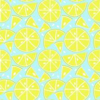 Summer fruit seamless pattern,citrin background vector