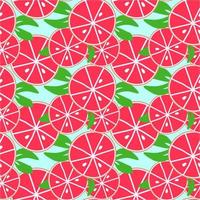 Summer fruit seamless pattern,citrin background vector