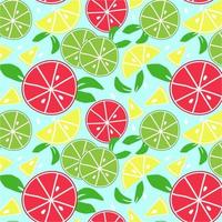 Summer fruit seamless pattern,citrin background vector