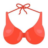 A female undergarment bra vector