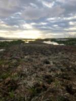 a broken country road. muddy road photo