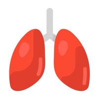 pulmones de órganos respiratorios humanos vector