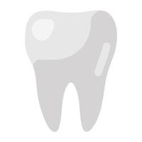 A healthy tooth vector