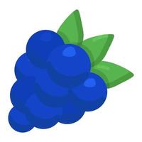 Delicious grapes icon design vector