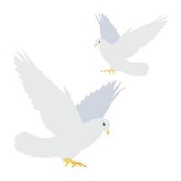 Loving Birds Concepts vector