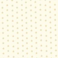 respaldo de postal con estrellas. el fondo del espacio es beige para papel artesanal o embalaje. hermosas estrellas dibujadas a mano. un sustrato con la textura del cielo estrellado. ilustración vectorial vector