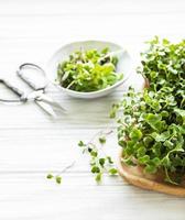 Assortment of micro greens on white wooden  background, copy space, top view.  Healthy lifestyle photo