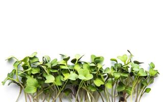 Micro greens on a white background. Healthy and fresh organic food, restaurant serving concept. Top view, copy space photo