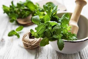Fresh green mint in mortar on white wooden background