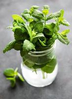 Fresh mint leaves in a small glass jar photo