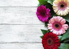 flores de gerbera brillante sobre un fondo de madera blanca. foto