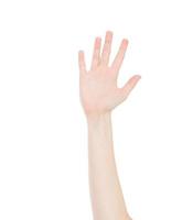 korean,asian hand isolated on white background.Voting hand