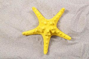 yellow starfish on the sand close-up top view. Starfish on the beach. Beach summer background with sand, sea and copyspace photo