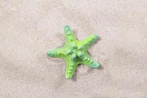 green starfish on the sand close-up top view. Starfish on the beach. Beach summer background with sand, sea and copyspace photo