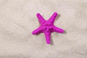 pink starfish on the sand close-up top view. Starfish on the beach. Beach summer background with sand, sea and copyspace photo