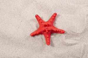 red starfish on the sand close-up top view. Starfish on the beach. Beach summer background with sand, sea and copyspace photo