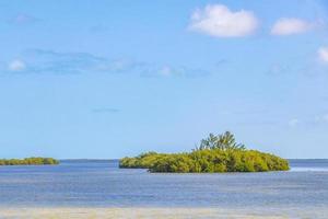 panorama paisaje vista isla holbox naturaleza playa agua turquesa mexico. foto