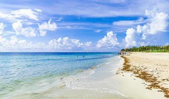 panorama de la playa tropical mexicana playa 88 playa del carmen mexico.