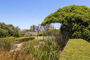 Well maintained Green Point Park in Cape Town, South Africa. photo