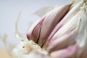 Garlic close up photo