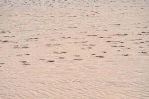 dunas de arena en un fondo de playa foto