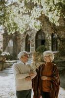 Senior couple walking in autumn park photo